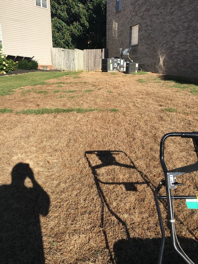 Before photo from Turf Envy collage pair 1