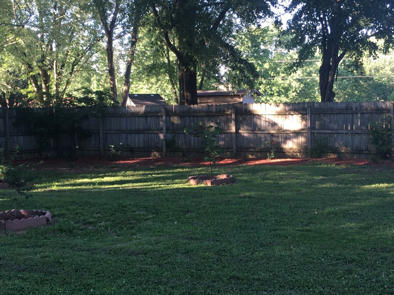 Smyrna-area backyard after Turf Envy work: mowed lawn, mulched beds, and tree rings